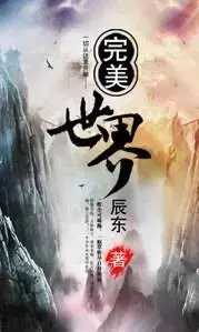 Official Wuxiaworld cover for Perfect World, a Chinese edition cover with the title 完美世界 over misty peaks